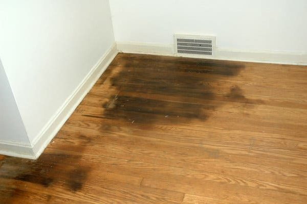 How to Get Rid of Fleas on Hardwood Floors Naturally