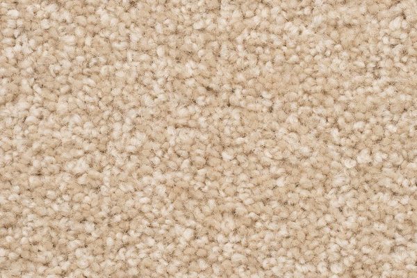 Unraveling the Comfort and Style A Comprehensive Guide to Cut Pile Twist Carpets