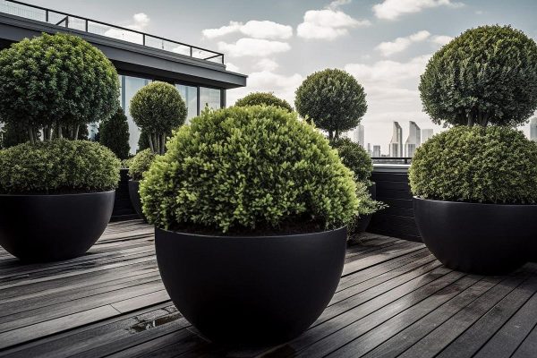 Elevate Your Outdoor Space with Juniper Planters