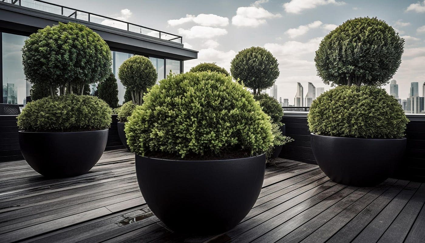 Elevate Your Outdoor Space with Juniper Planters