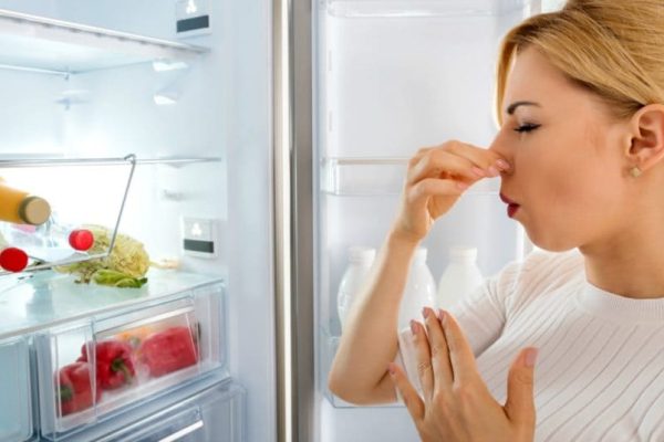 How to Eliminate Fridge Smells Like Dead Animals