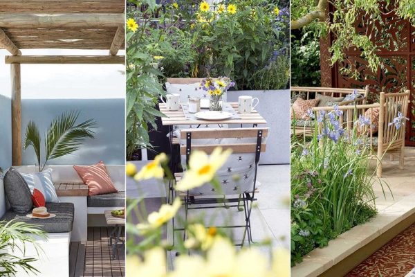 10 Unique Succulent Garden Ideas to Transform Your Outdoor Oasis