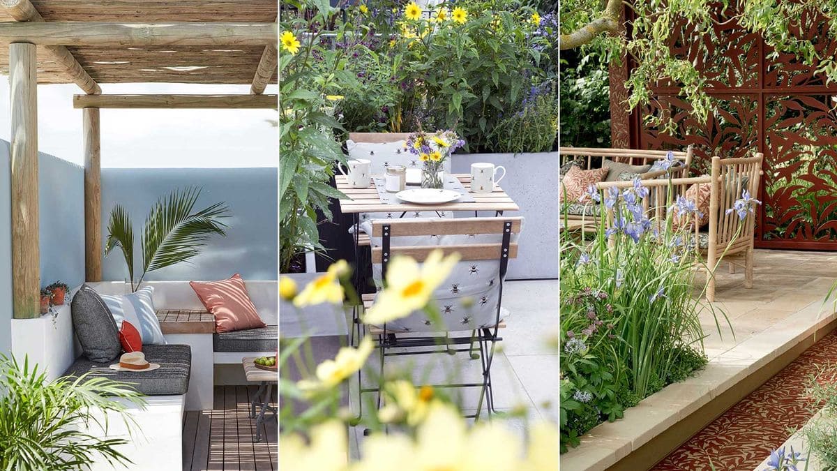 10 Unique Succulent Garden Ideas to Transform Your Outdoor Oasis