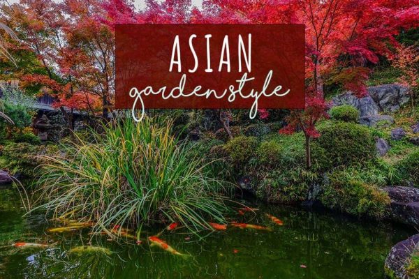 Asian Gardens A Tranquil Oasis of Harmony and Serenity