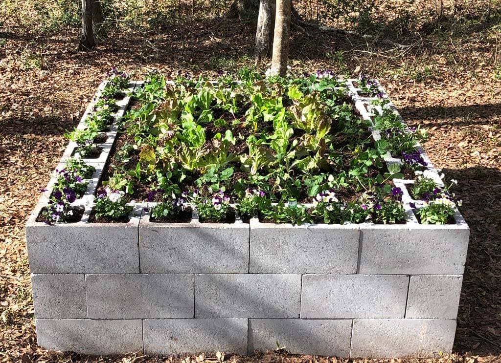 Cinder Block Garden Ideas Elevating Your Green Space