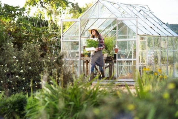 Optimizing Your Garden with a Shed Greenhouse The Ultimate Guide