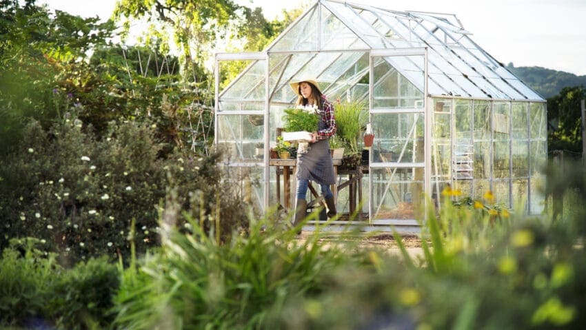 Optimizing Your Garden with a Shed Greenhouse The Ultimate Guide
