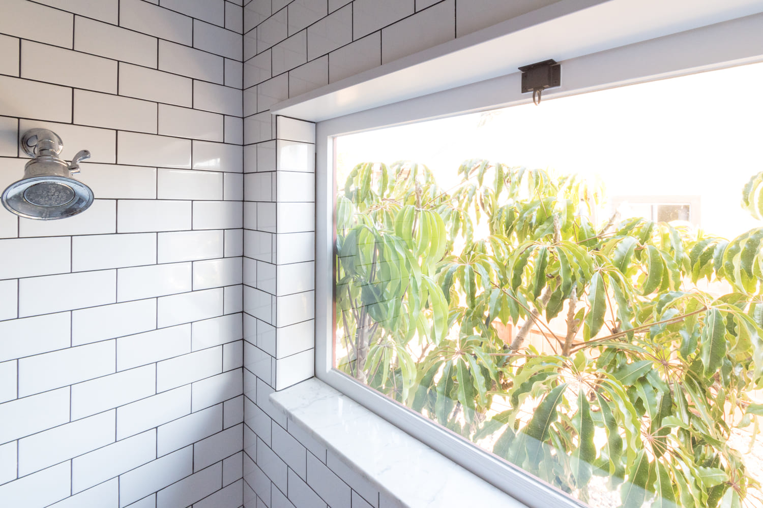 The Guide to Shower with Window Installation