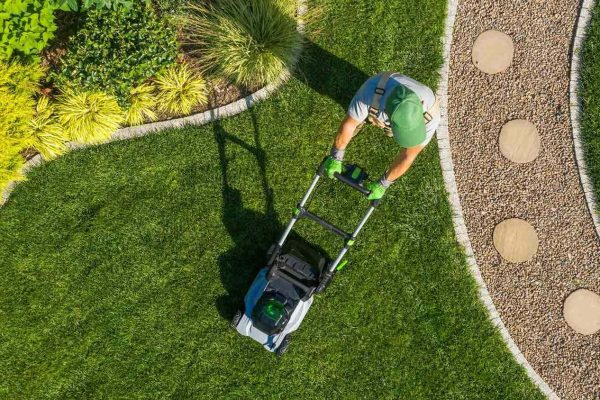 How to Cut Down on Lawn Maintenance as a Homeowner