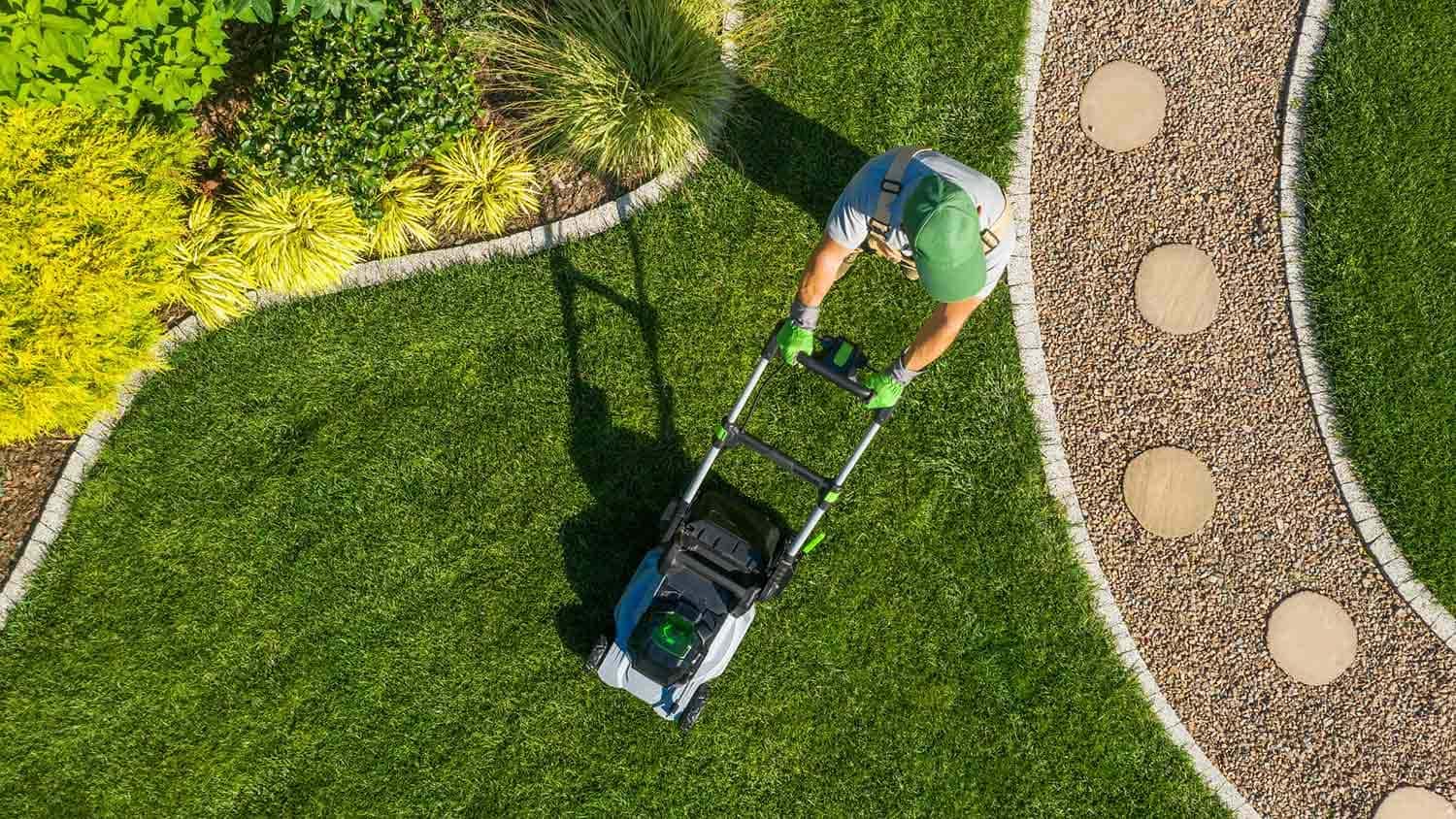 How to Cut Down on Lawn Maintenance as a Homeowner