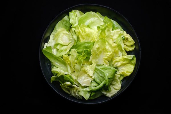 Embracing the Delicate Crunch A Comprehensive Guide to Butterhead Lettuce