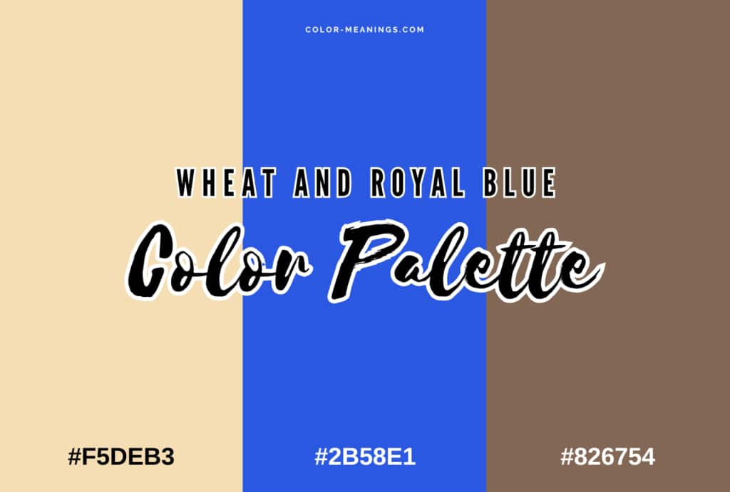 Exploring the Perfect Color Combinations What Colors Go with Blue?