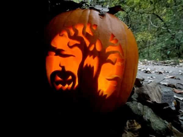 Unleash Your Creativity A Comprehensive Guide to Creative Pumpkin Carving