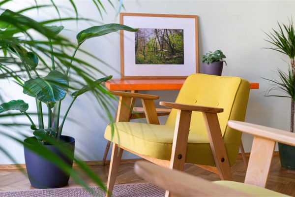 Mid-Century Chairs 101 History, Design, and Buying Tips