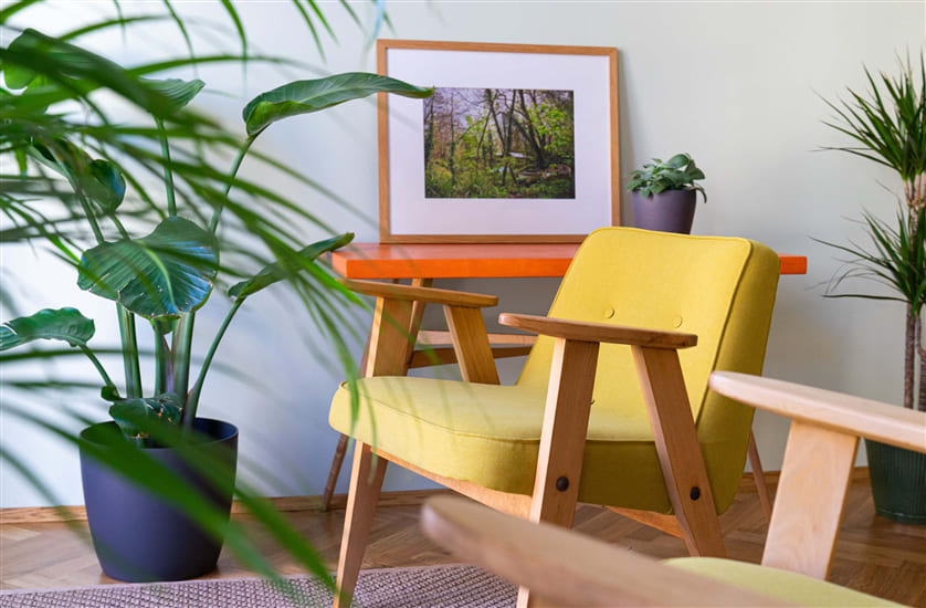 Mid-Century Chairs 101 History, Design, and Buying Tips